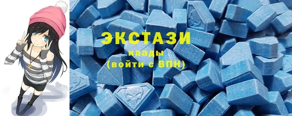 шишки Богородицк