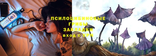 гашик Бронницы