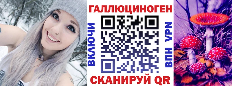 Псилоцибиновые грибы Psilocybe  купить   Киржач 
